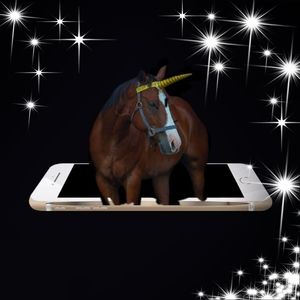 Meet your Posher, Rosario